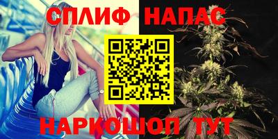 Альфа ПВП Братск