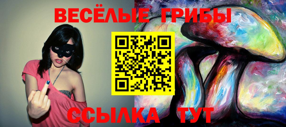 Псилоцибиновые грибы ЛСД  Псилоцибиновые грибы мухоморы  Горно-Алтайск  где продают наркотики  Вход с VPN 